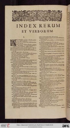 Index rerum et verborum