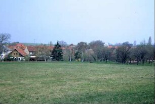Blick auf den Ort; Obstwiese am Rand