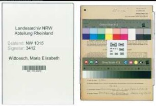 Entnazifizierung Maria Elisabeth Wittoesch , geb. 28.12.1904 (Lehrerin)