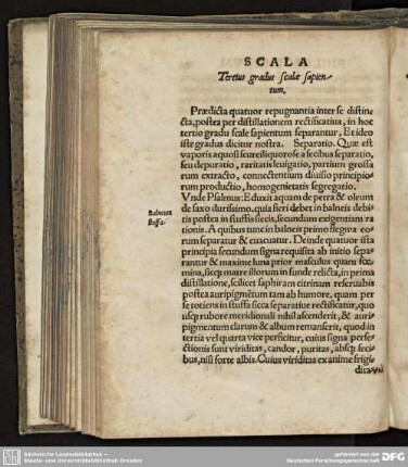 Tertius gradus scalae sapientum.