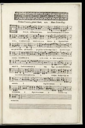 Tertius Tenor, primi Chori