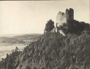 Burgruine Altbodmann bei Bodmann am Bodensee : Burgruine Alt-Bodman bei Bodmann am Bodensee