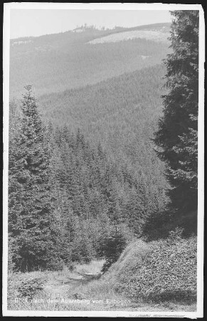 Auersberg. Blick nach dem Auersberg vom Ellbogen