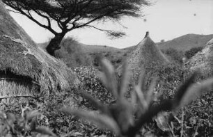 Strohhütten (Reise durch Italienisch-Ostafrika, Sept./Okt. 1937 – 3. Fahrt: Asmara - Keren und zurück)