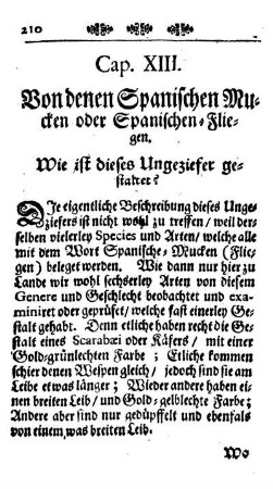 Cap. XIII. Von denen Spanischen Mucken oder Spanischen Fliegen.