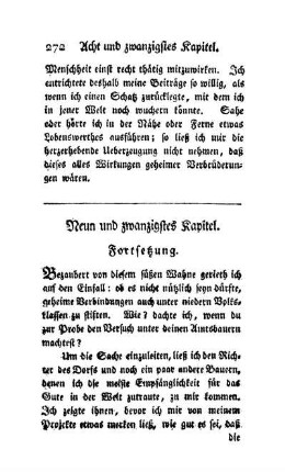 Neun und zwanzigstes Kapitel. Fortsetzung
