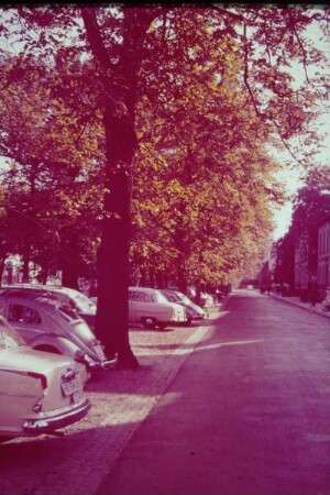 Allee, Herbst, Detmold; farbig