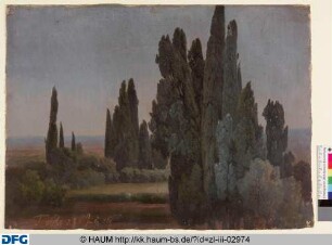 Landschaft mit Bäumen auf dem Tivoli
