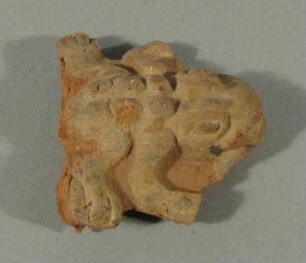 Frosch oder Kröte