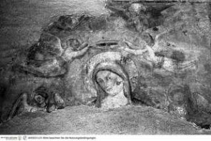 Madonna dell'Umiltà mit Stifter, heiligem Johannes dem Täufer und einem weiteren Heiligen