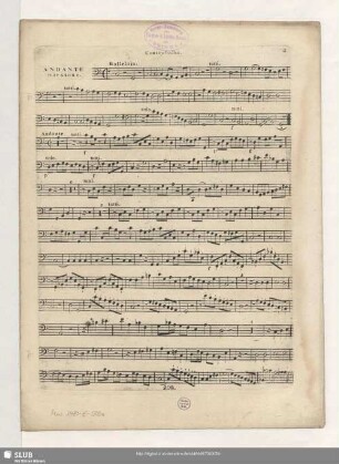 Contrabasso