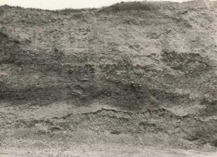Kiesgrube östlich Schrebitz bei Mügeln. Wand der Kiesgrube mit altpleistozänen nordischen Schottern in undeutlicher Schichtung