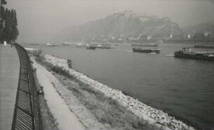 Niedrigwasser in Koblenz
