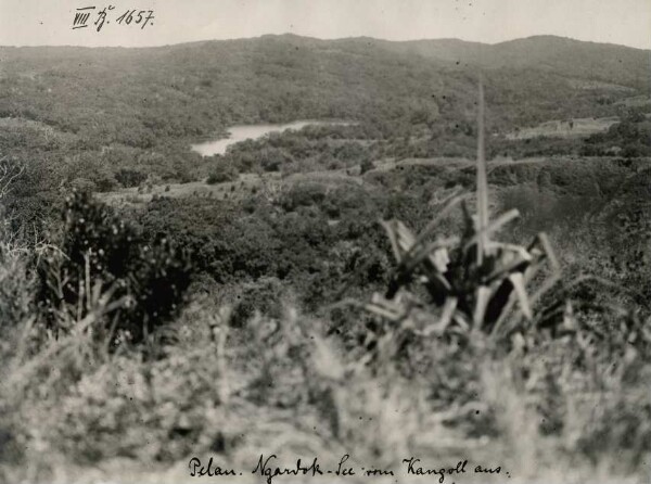 "Pelau. Le lac Ngardok vu de Kangoll".