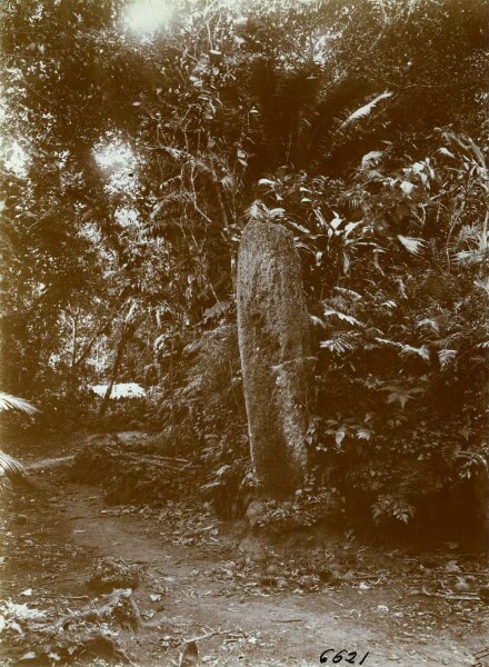 "Monolith at a grave site. Maevo."