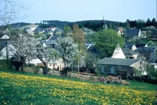 blühende Streuobstbestände an Friedhofsmauer (Trockenmauer)