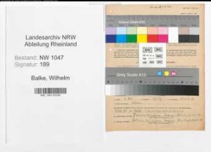 Entnazifizierung Wilhelm Balke , geb. 25.09.1899 (Angestellter)