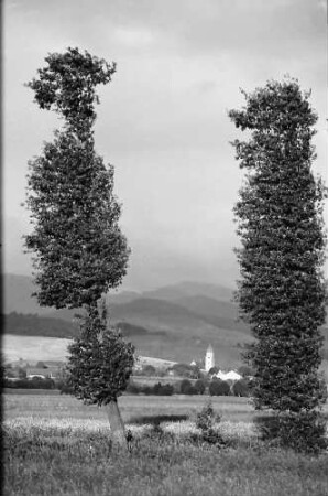 Norsingen: Gewitterbeleuchtung an der Möhlin; Blick auf Kirchhofen; bei Norsingen