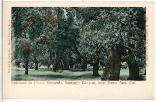 Santa Ana. Entrance to Picnic Grounds, Santiago Canyon, Cal.