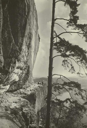 Sächsische Schweiz. Die Rahmhanke, unterhalb der Bastei. Blick elbaufwärts