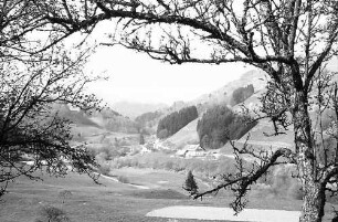 Blick von Fröhnd in das obere Wiesental