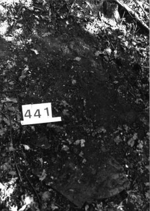 Grabstein 441 (Index: 99898063) Zustand: liegend: Grabstein 441