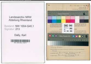 Entnazifizierung Karl Dally , geb. 14.09.1900 (Amtsgerichtsdirektor)