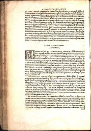 Capvt Dvodecimvm, De Membranis.