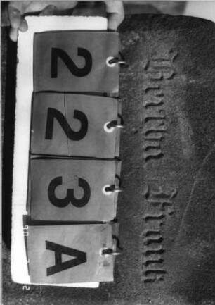 Grabstein 223 (Index: 100116030) Material: Sandstein Zustand: verwittert mit Textverlust Maße HxBxT: 77x48x11 cm Beschreibung: aufgesockelte Stele mit Rundbogenabschluß, eingetieftes Schriftfeld, weiteres Schriftfeld auf der Rückseite Symbolik: Blüte Besonderheit: Kindergrab: Grabstein 223A