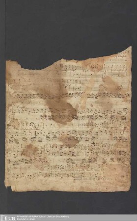 Ms. Ff. Mus. 1582 - OPERETTA Adam u. Eva