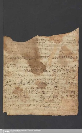 Ms. Ff. Mus. 1582 - OPERETTA Adam u. Eva