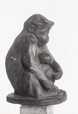 Schützend (Affenmutter)