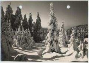Winterlandschaft, Harz