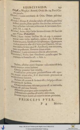 Princeps Puer