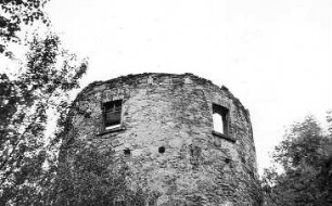 Vysoký (Hohenwald). Holländermühle, Ruine