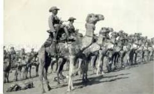 Schutztruppe auf Kamelen in Deutsch-Südwest-Afrika