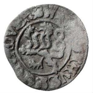Fundmünze, Pfennig (einseitig), Weißpfennig, 1471 - 1516