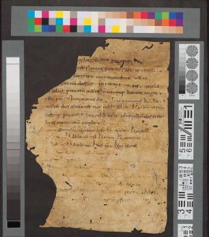 Breviarium (Fragment) - BSB Clm 29322(276