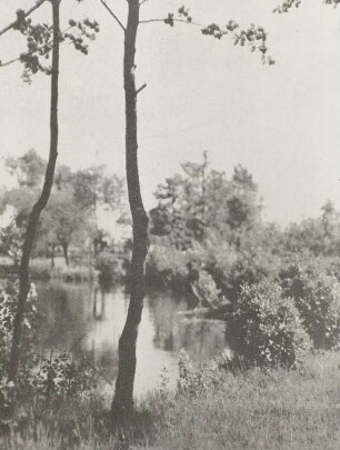 Wiesenlandschaft