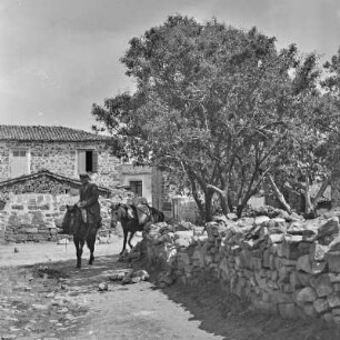 Griechenland. Insel Limnos. Alltagsszene. Esel als Lastenträger.