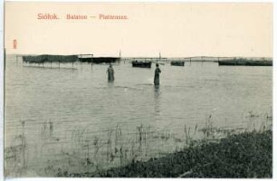 Siofok. Blick auf den Plattensee