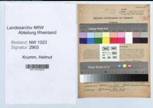 Entnazifizierung Helmut Krumm , geb. 28.02.1908 (Handwerker)