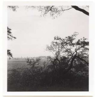 Grünflächenplanung Wirsitz: Landschaft