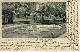 Ansicht aus dem Botanischen Garten in Singapur
