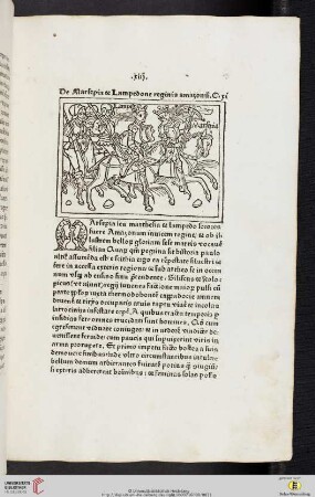 Kapitel 11-20