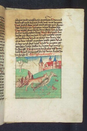 Der Fuchs ergreift die Vogelfrau; (Kapitel XVI: Von den Vögeln).