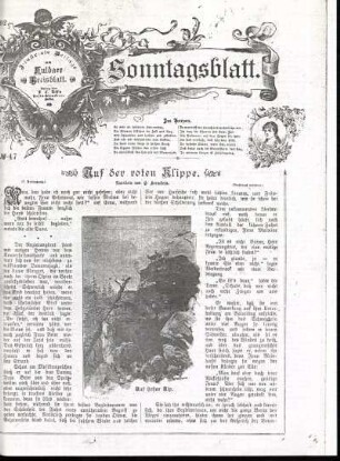 Ausgabe vom Sonntag, den 20. November 1892.