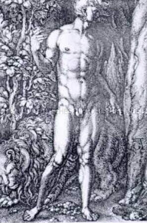 Adam