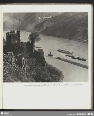 Personendampfer, Schleppzüge und Flöße auf dem Rhein