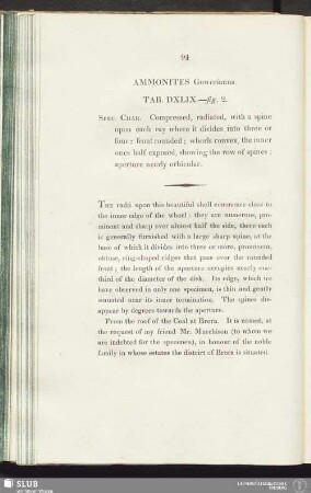 Ammonites Gowerianus. Tab. DXLIX.—fig. 2